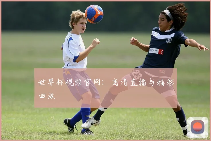 世界杯视频官网：高清直播与精彩回放