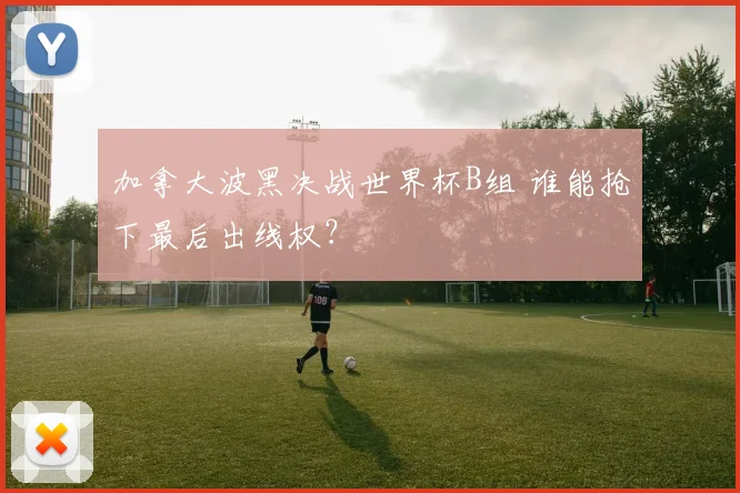 加拿大波黑决战世界杯B组 谁能抢下最后出线权？