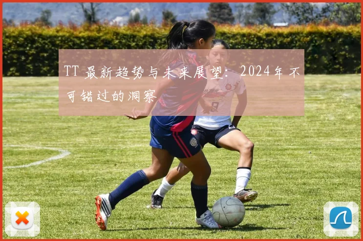 TT 最新趋势与未来展望：2024年不可错过的洞察