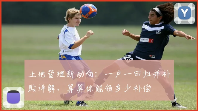 土地管理新动向：一户一田归并补贴详解，算算你能领多少补偿