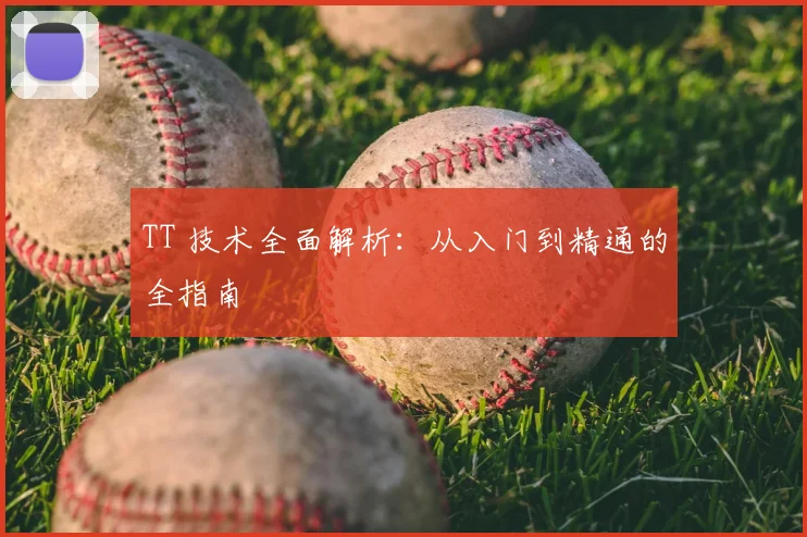 TT 技术全面解析：从入门到精通的全指南