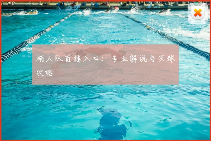 湖人队直播入口：专业解说与买球攻略