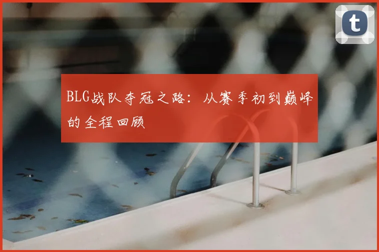 BLG战队夺冠之路：从赛季初到巅峰的全程回顾