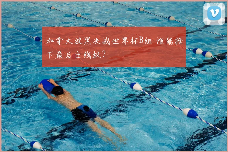 加拿大波黑决战世界杯B组 谁能抢下最后出线权？